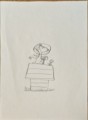 SYNOFILE_THUMB_S.jpg