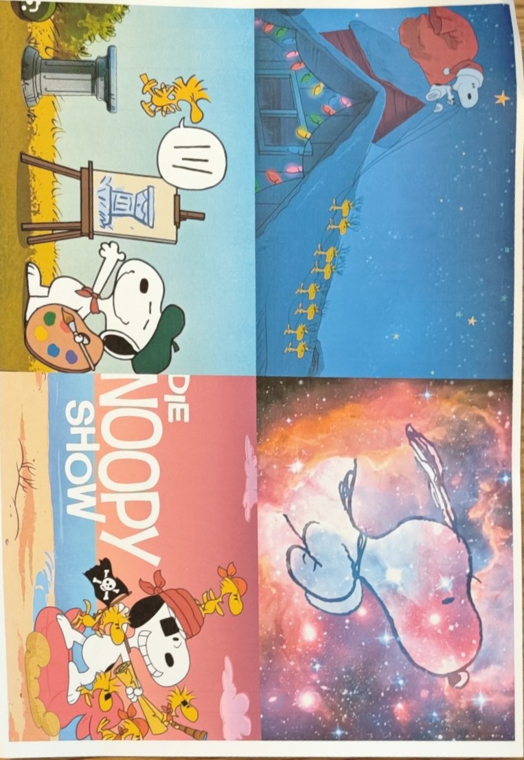 IMG_20260313_174636.jpg